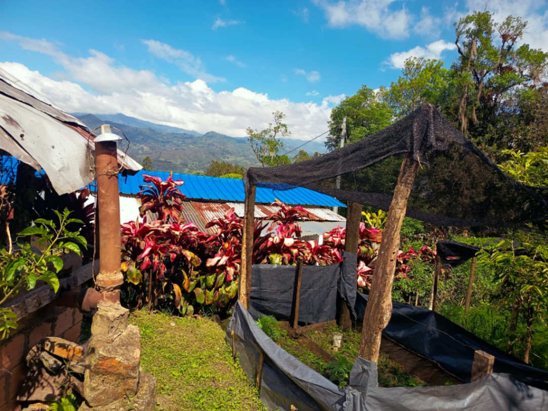 Pacho, Cundinamarca, Colombia 3